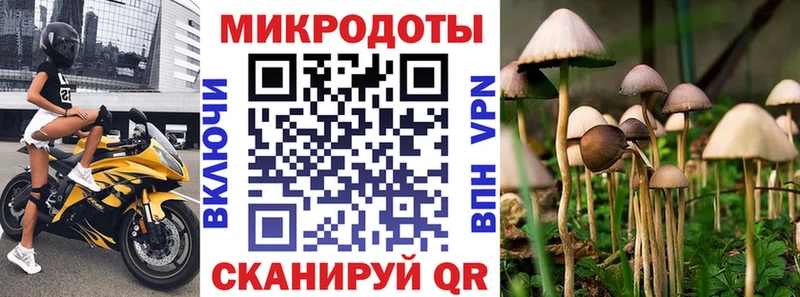 Галлюциногенные грибы MAGIC MUSHROOMS  Заинск 